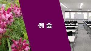 例会