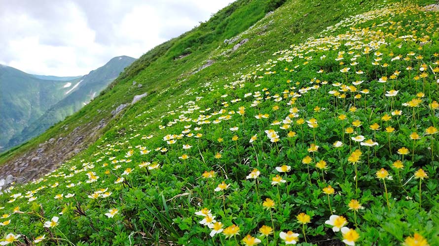 灼熱の飯豊山行