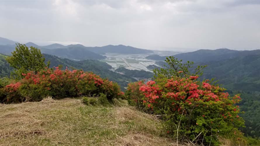 石巻登山マラソン