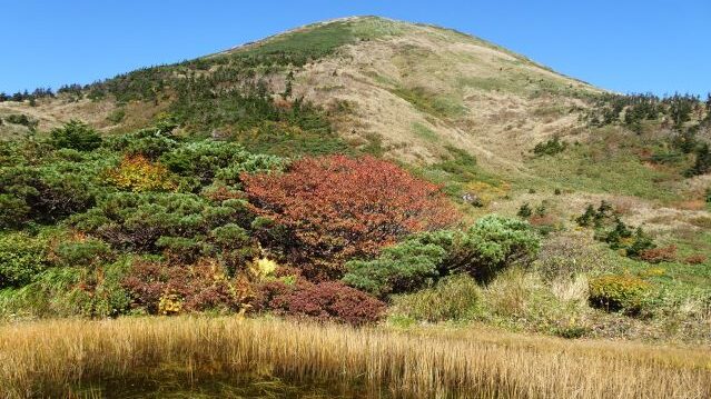 八甲田山 奥入瀬渓流 八甲田山 奥入瀬渓流