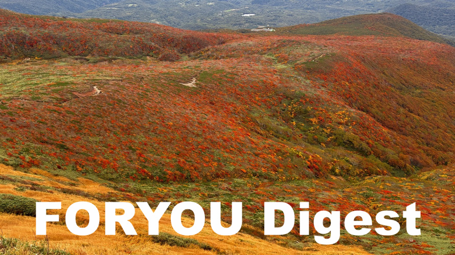 会報FORYOU VOL.617