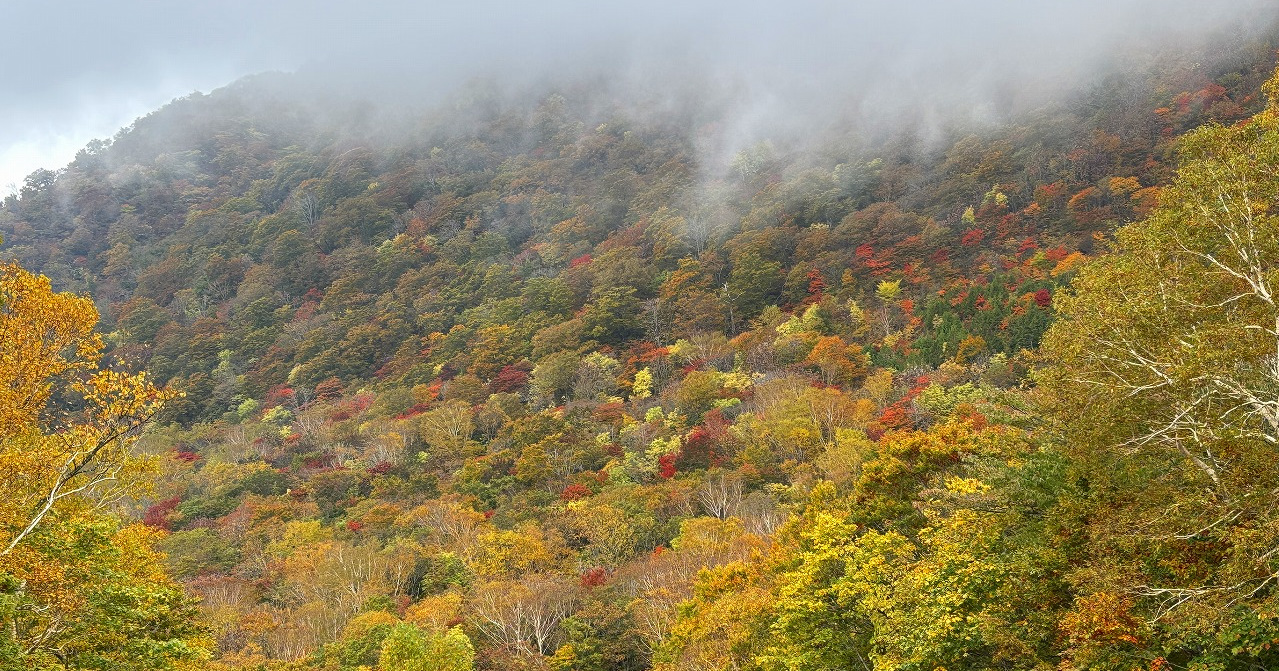 秋の定番 芋煮会山行 秋の定番 芋煮会山行