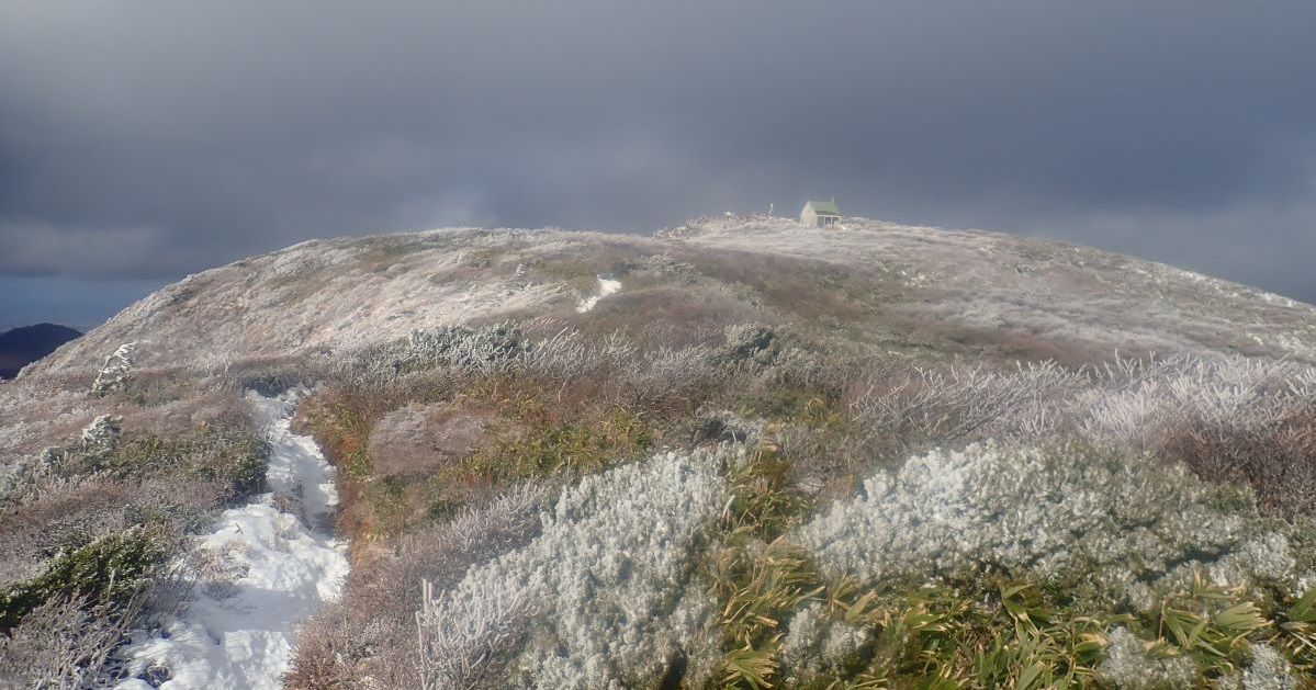ブナの森も間もなく冬山に ブナの森も間もなく冬山に