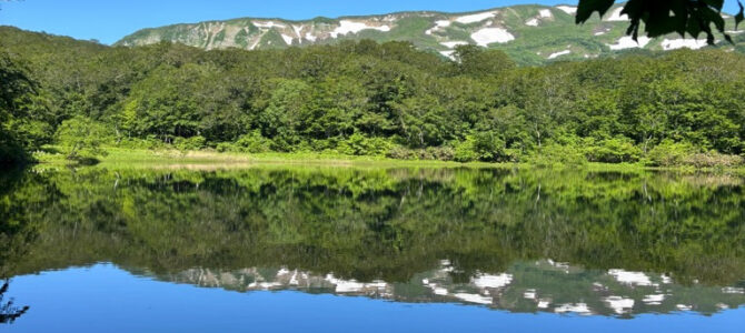 初夏の東焼石