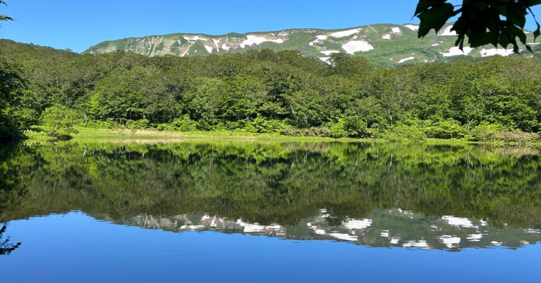 初夏の東焼石