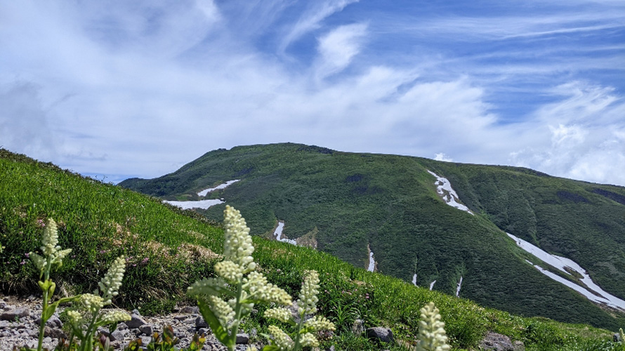 花倶楽部山行　月山の雪渓と花を楽しむ