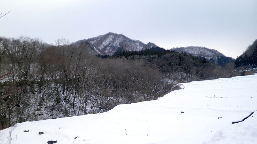 ２月１日　長倉山に登る（宮床の里山）